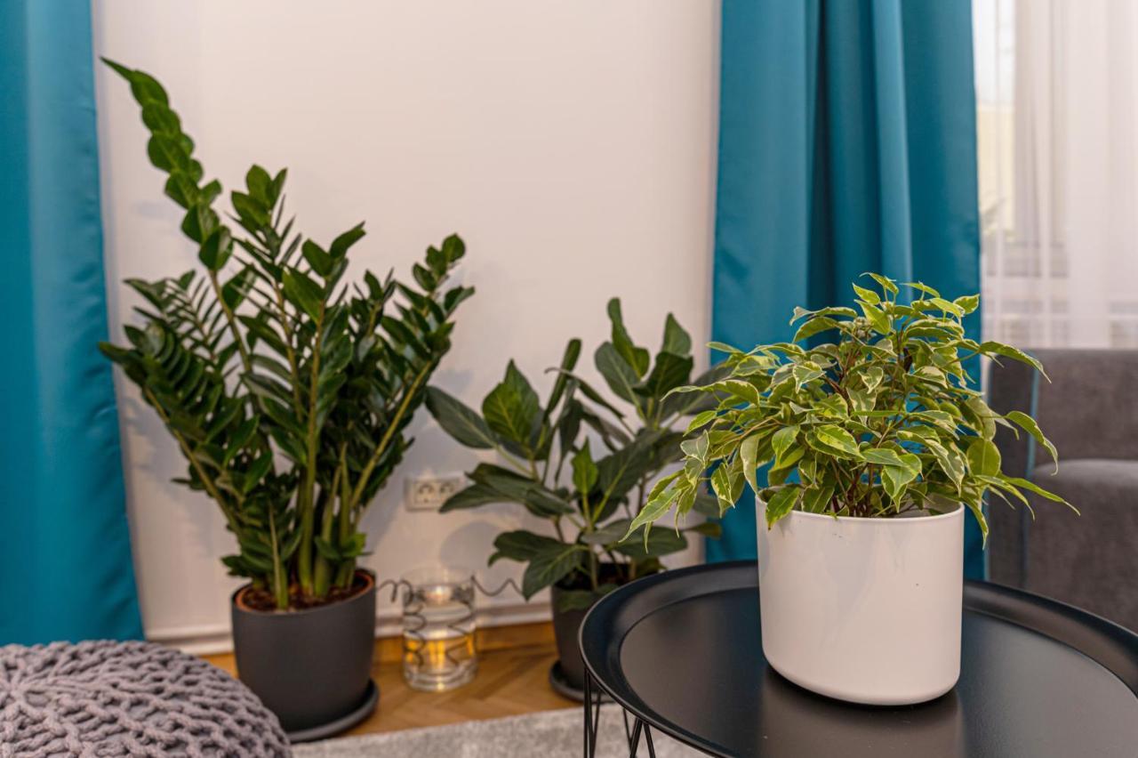 Garden Hideout - Central Apartment Braşov Esterno foto